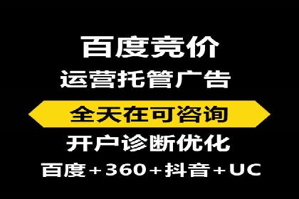 成功运用SEM服务实现品牌推广的案例分析