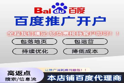 SEM运营公司案例解析：精准广告投放技巧